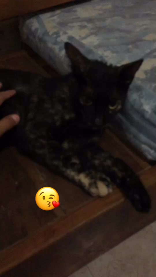 @Talango29morrillo🙅&zwj;