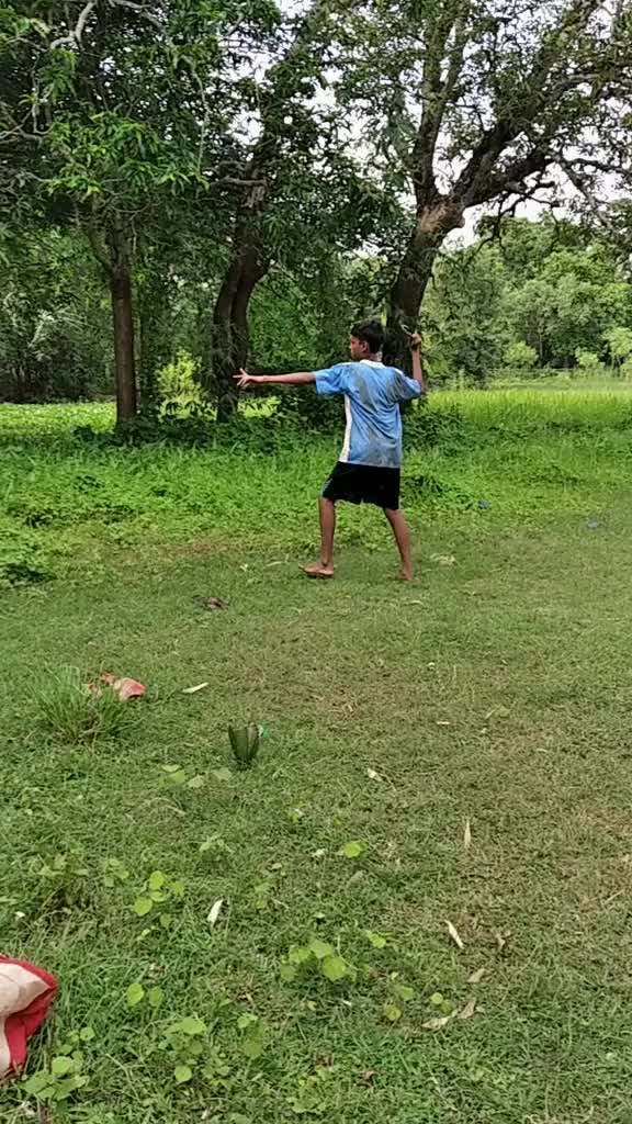 @don,subho