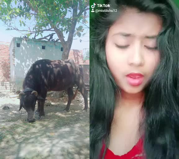 @Sumit Saxena