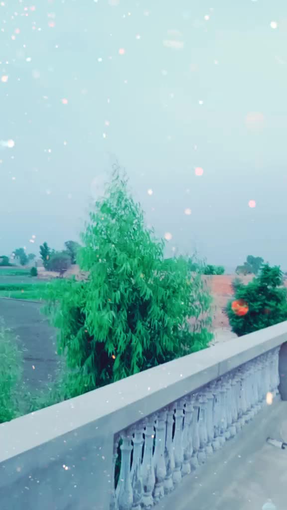 @Ravi Kamboj407
