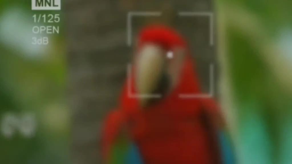 @Rįďèŕ Bîďùř Kùmář