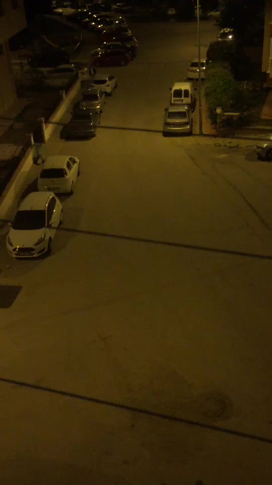 @&Ouml;zge doğan