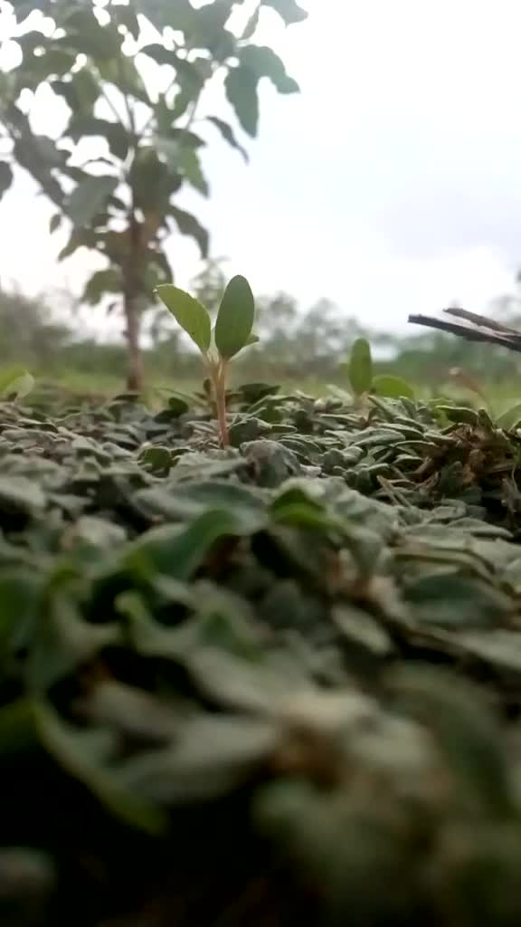 @BharathBunny713