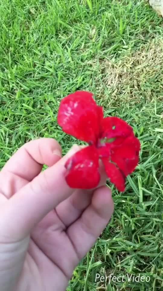 @☘️💫