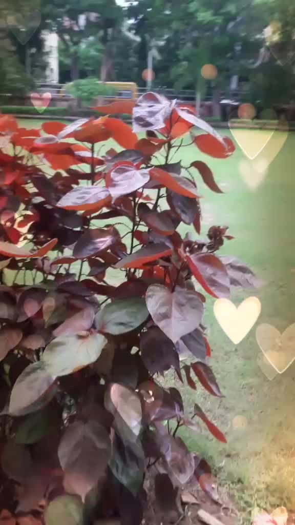 @naaz910201