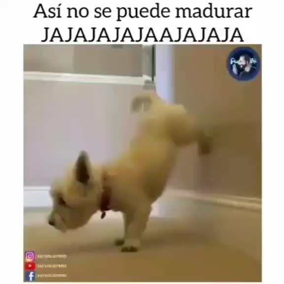 @matt