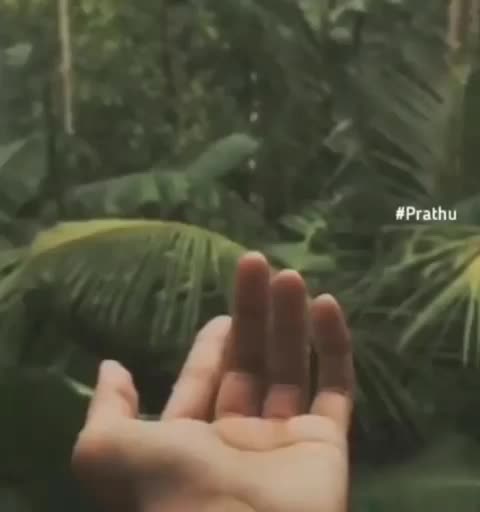 @Kavya Kullu