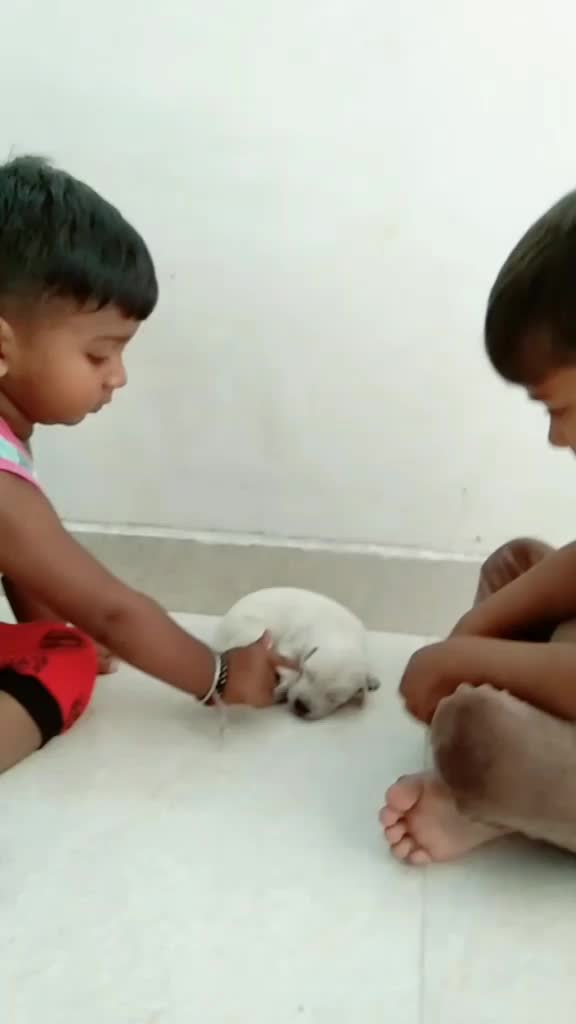 @Bhoomikamit