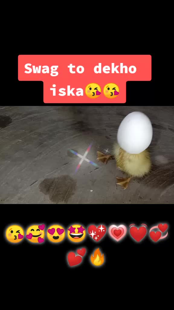 @Rajashree Gogoi 😎😎