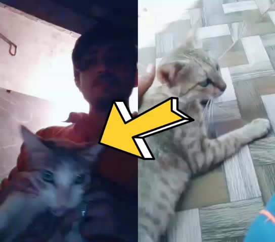 @बैचेनी।इस।कदर।बड।रही