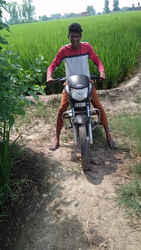 @pali.saab