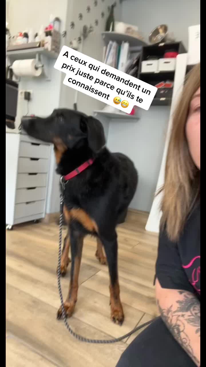 @Groomer ✃ 76