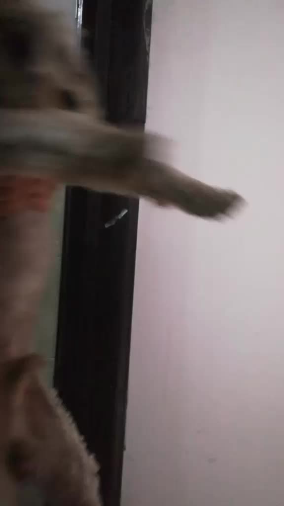 @geral_kliesen