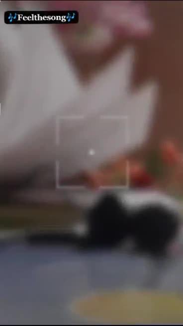 @๐
๐
ค๐
ฃ๐
๐ถ๐
๐
๐
๐
๐

