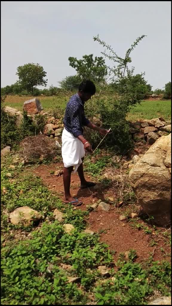 @M.Vignesh TN 29😍😎