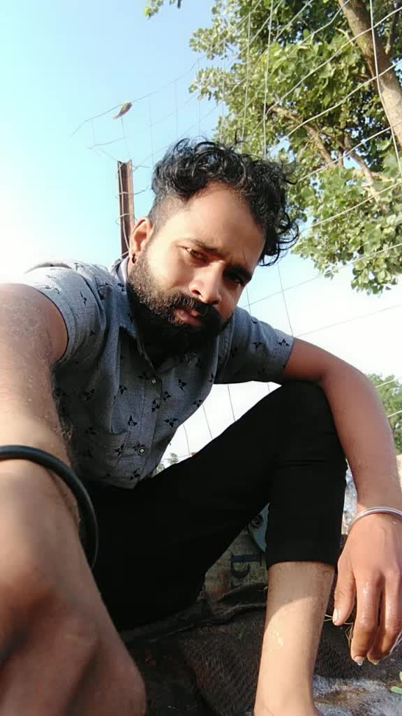 @user8647625861116