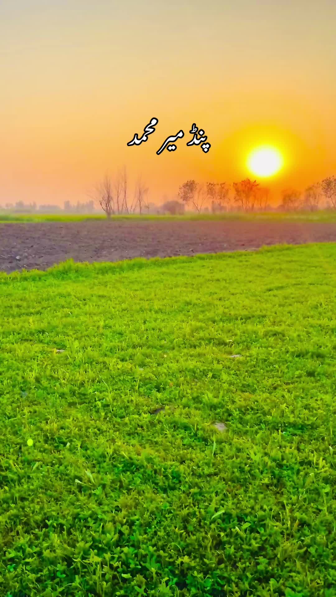 @Abdur Rehman Bhatti
