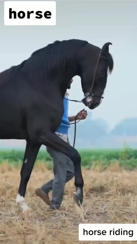 @ds_rajput _0007