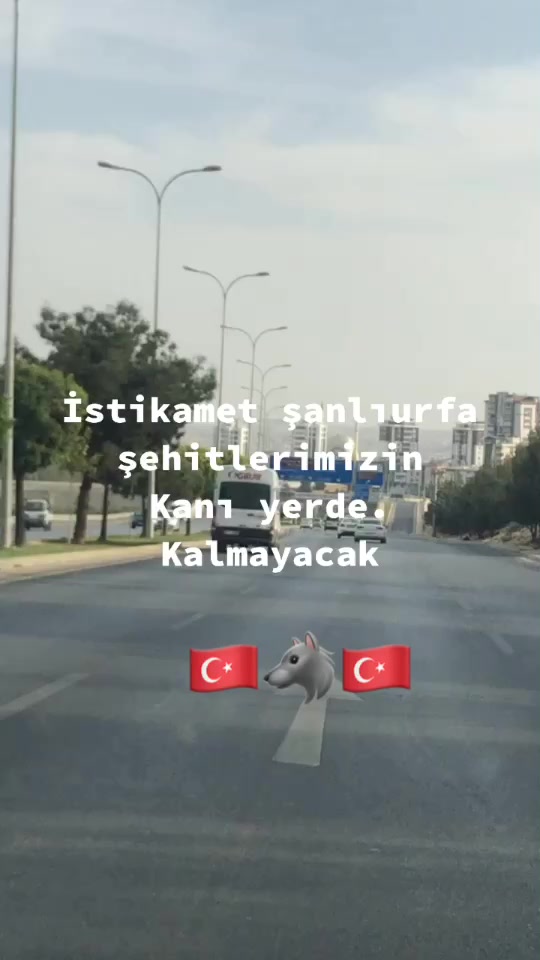 @MehmetAli Gamzemm❤️