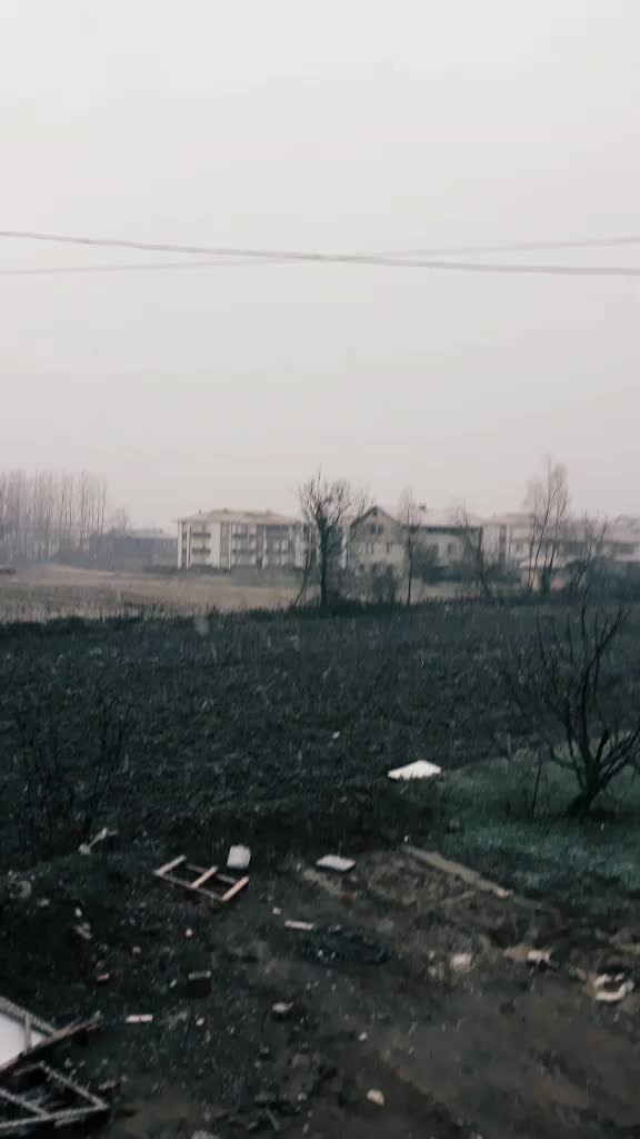 @sedatbjk
