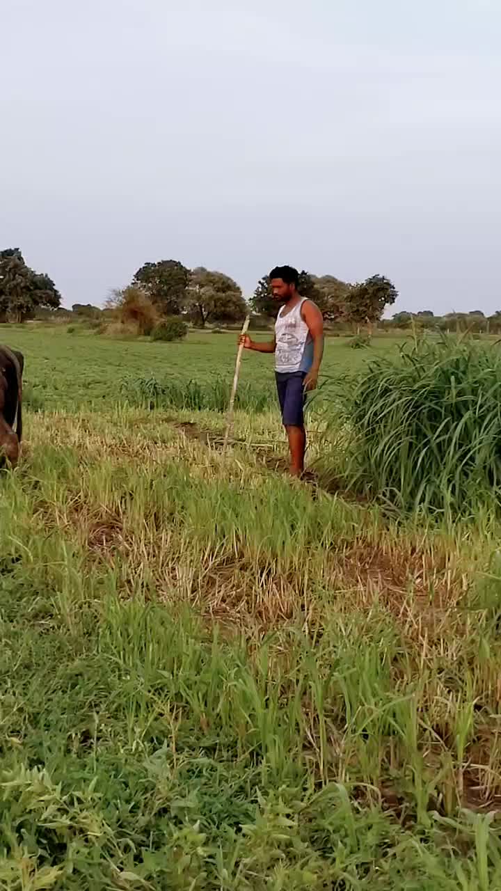 @vasim Raj