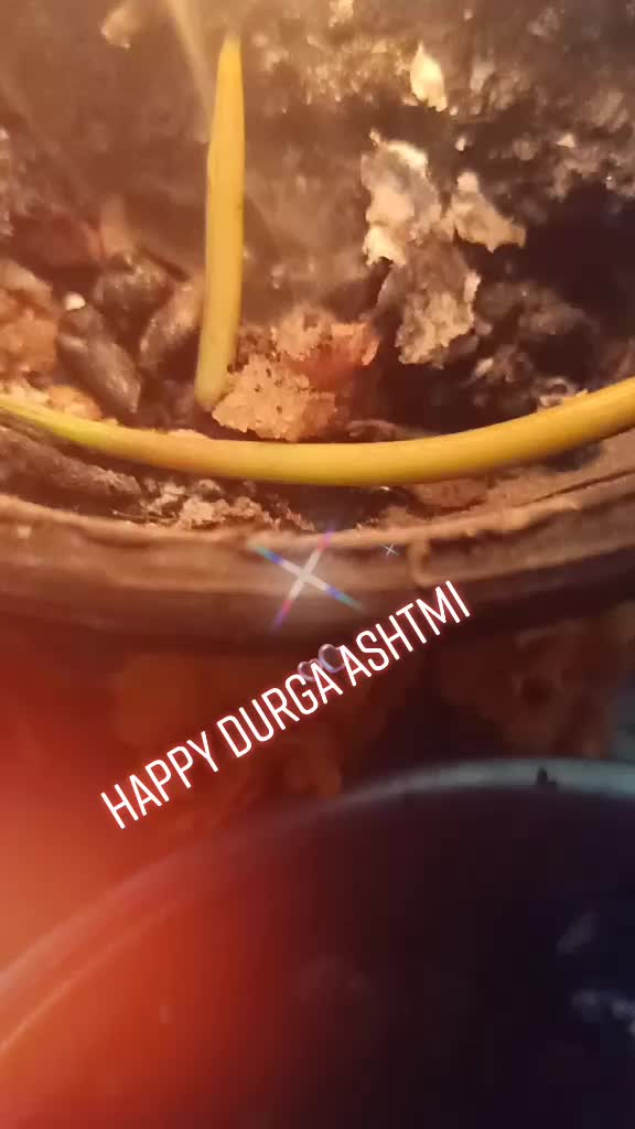 @Jai Kumar