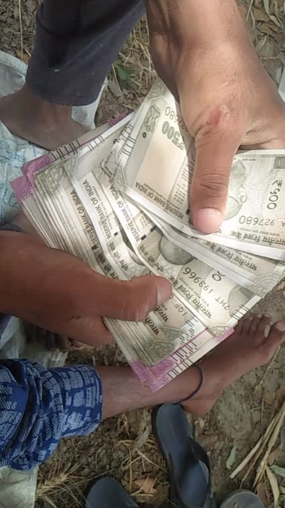@pali.saab