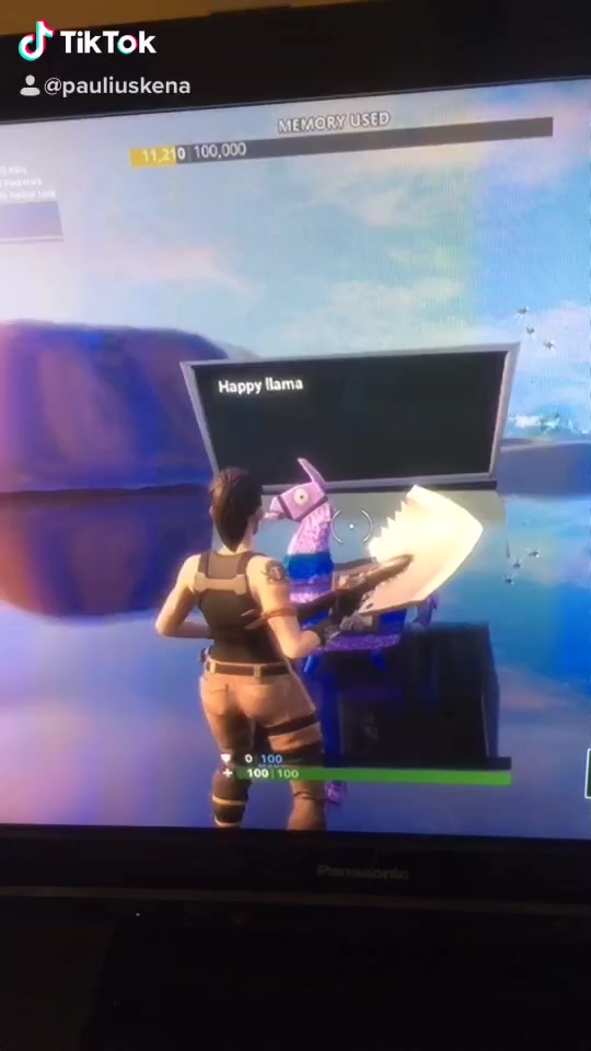 @Fortnut