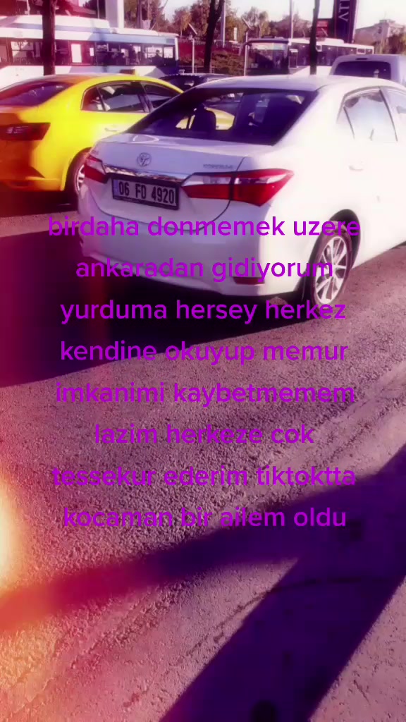 @hulya sevinc