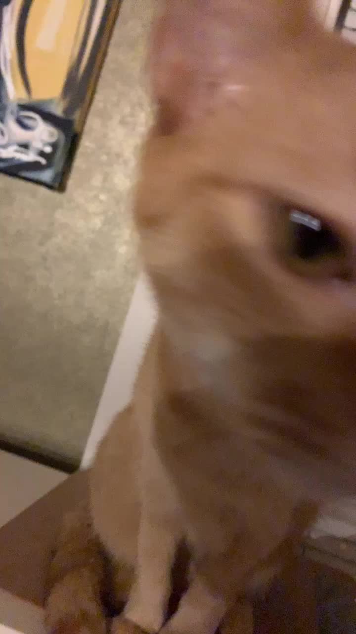 @G
