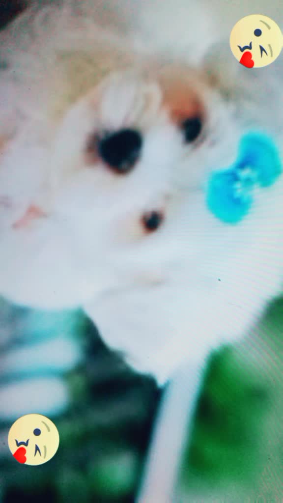 @Meraik İkra