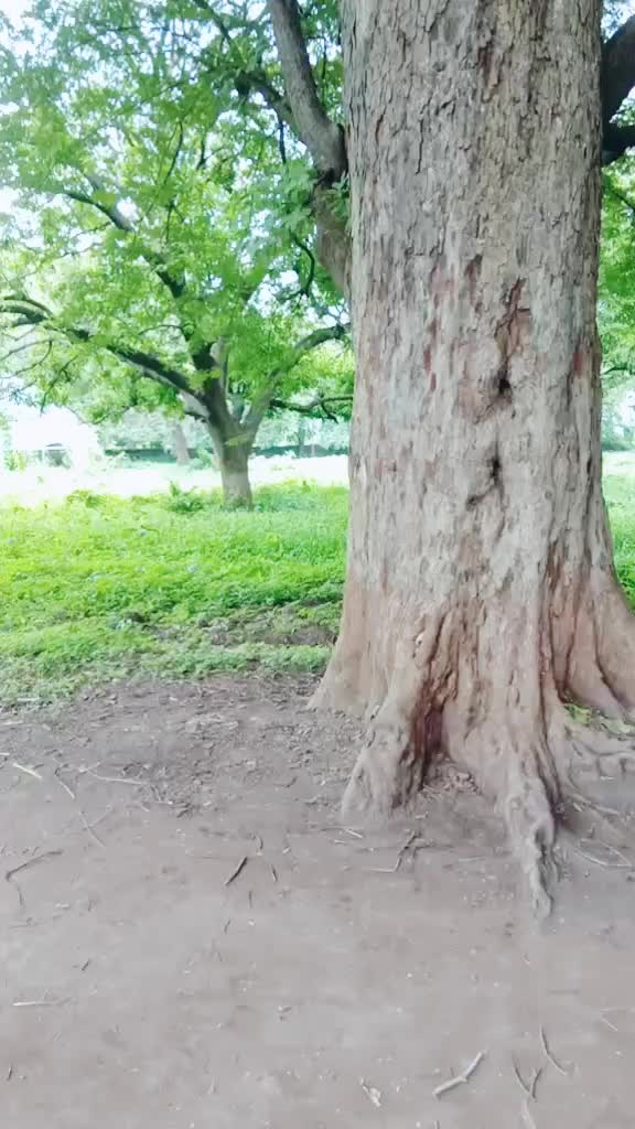 @Guddu Bharsakhale