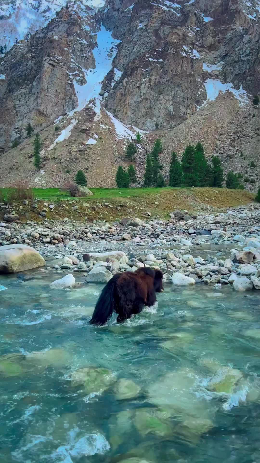 @Travel Pakistan