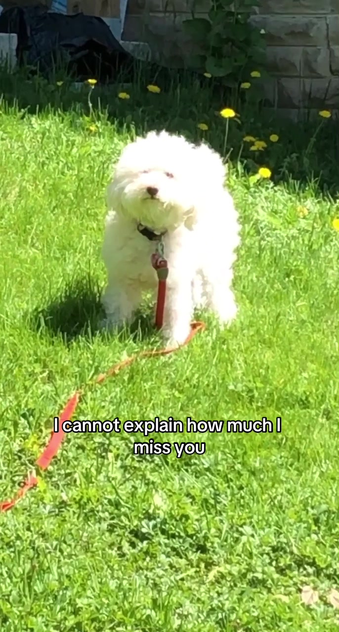 @Isa