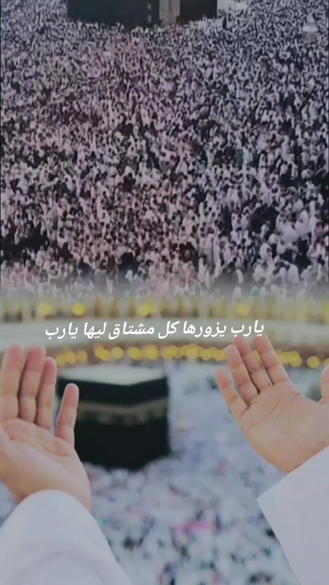 @《《《عـبـدالـوهـاب》》》