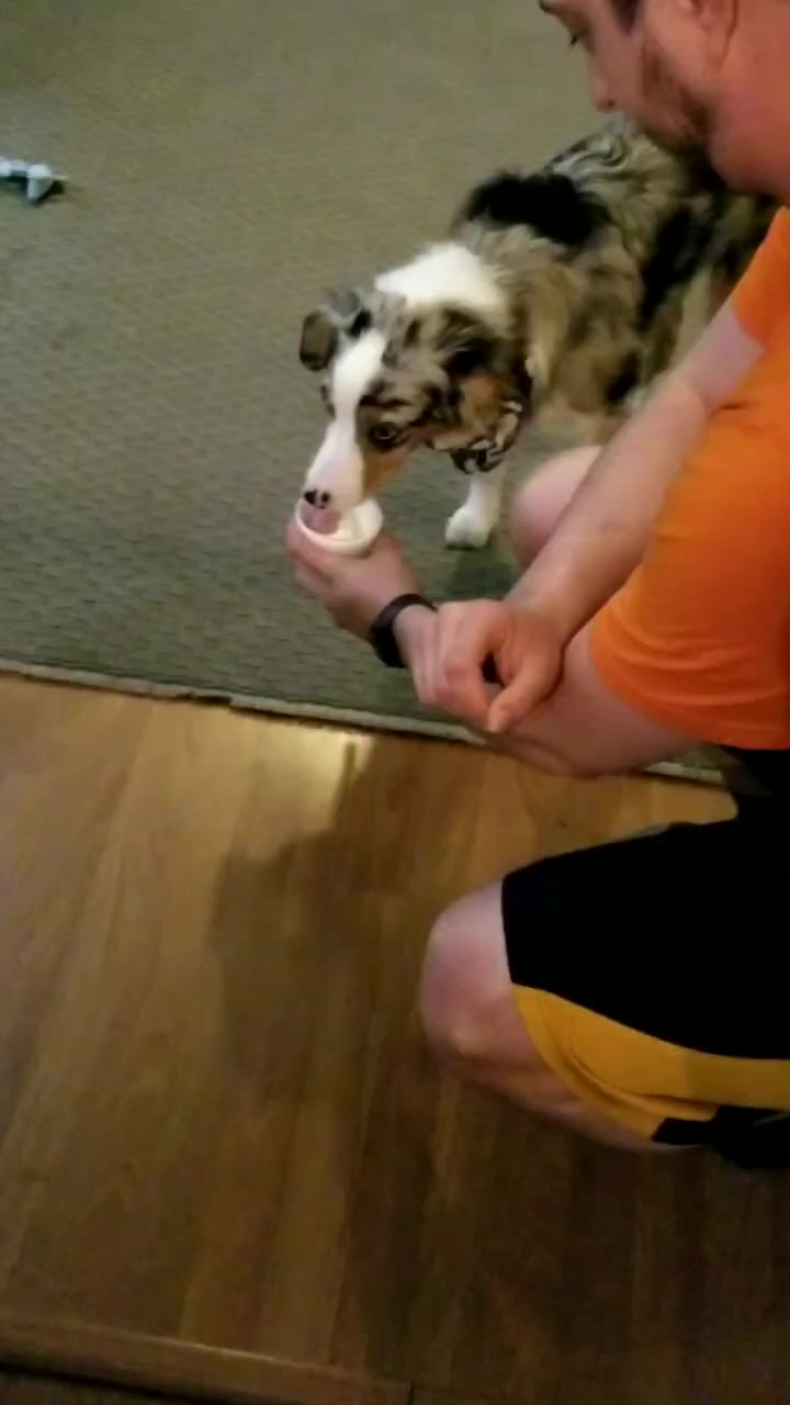 @Jett The Aussie