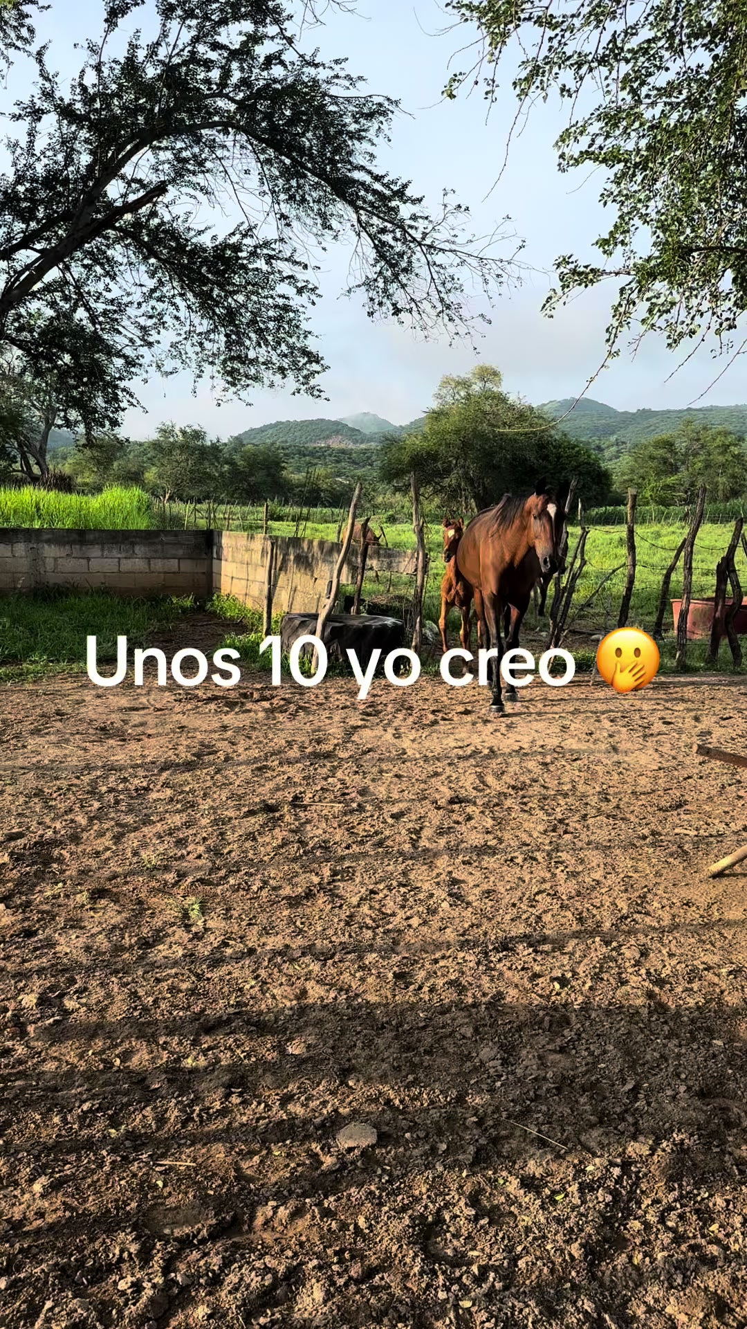 @Adolfo Gonzalez Ruiz