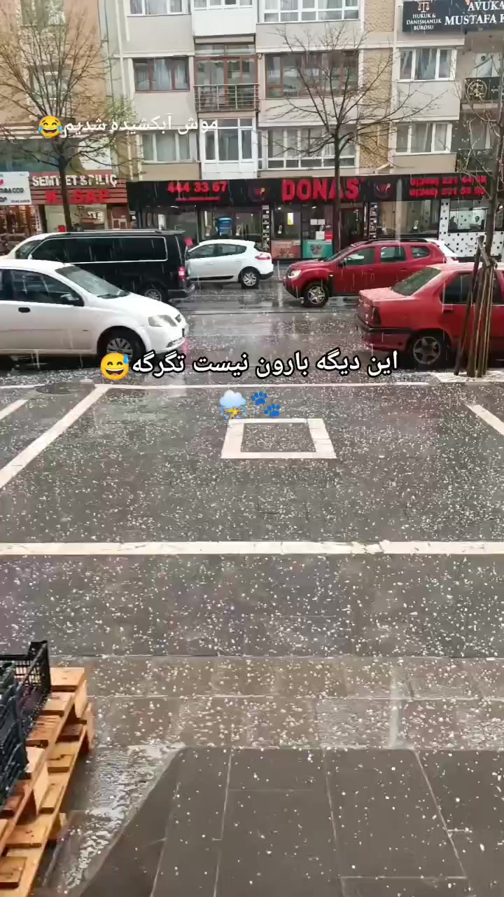 @raha69696