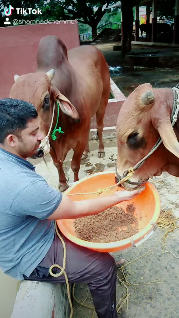@Shamnad Chemmu