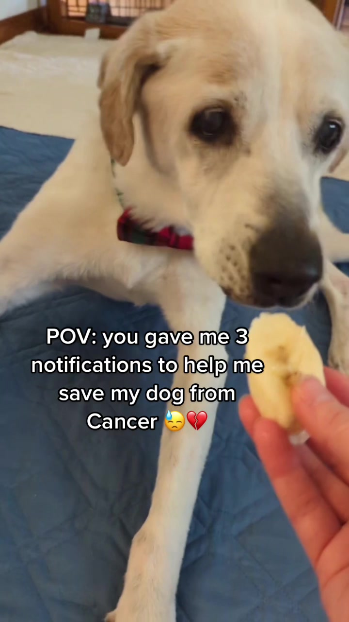 @PrayForCooper