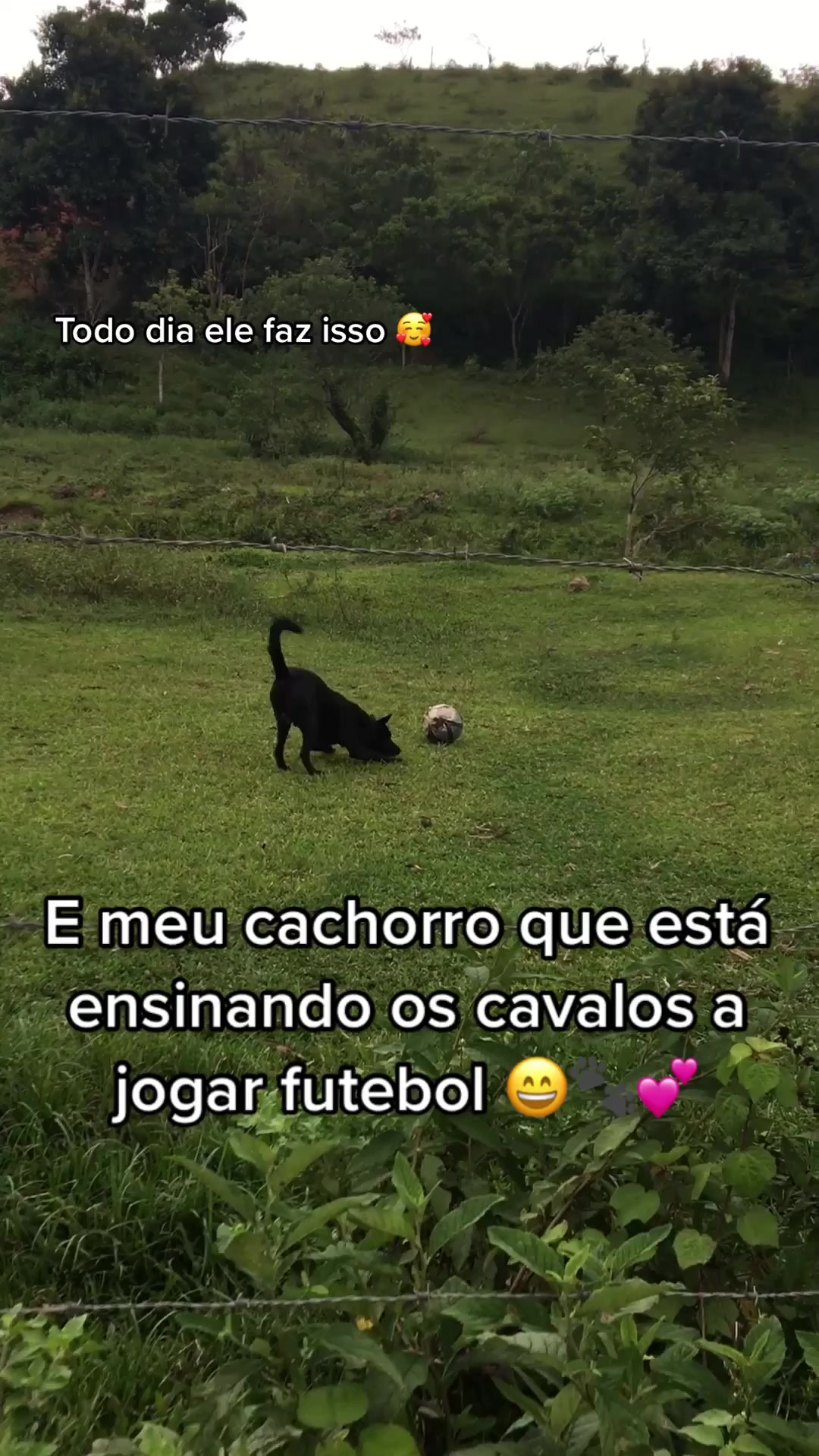 @Rosiani Sá Freire