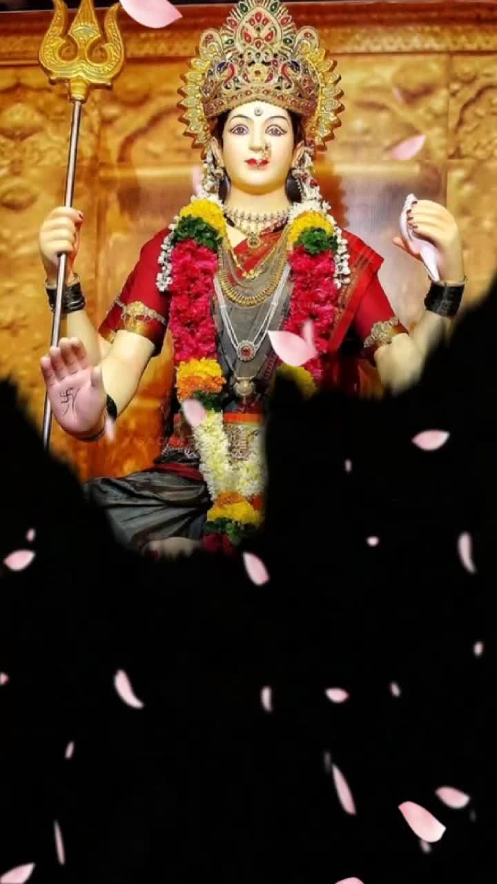 @👑 cg tik tok King 👑