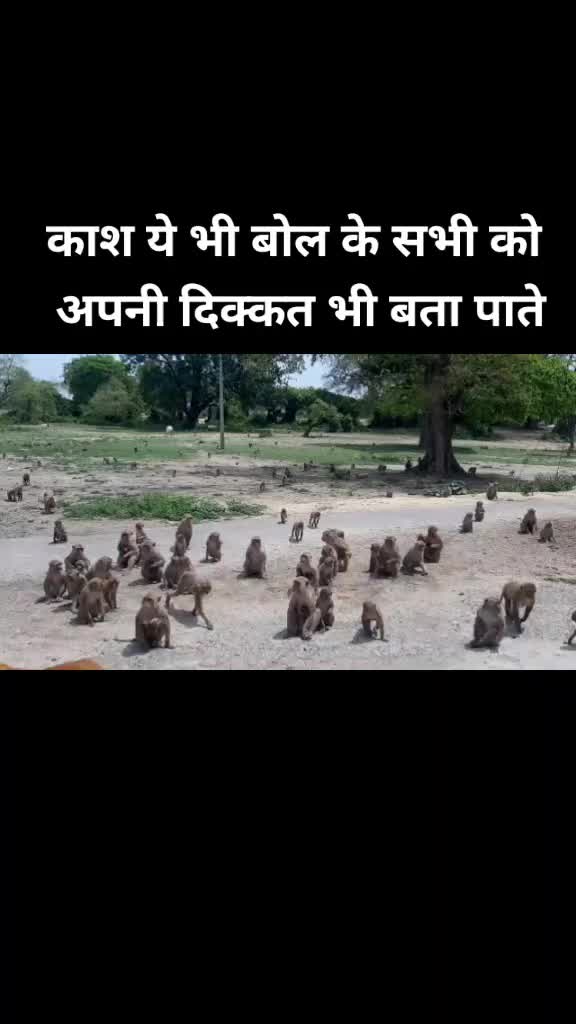 @Piyush_Awasthi