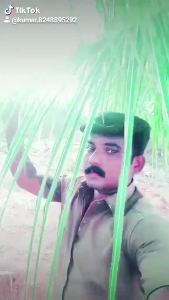 @பிரிஸ்கில்லா
