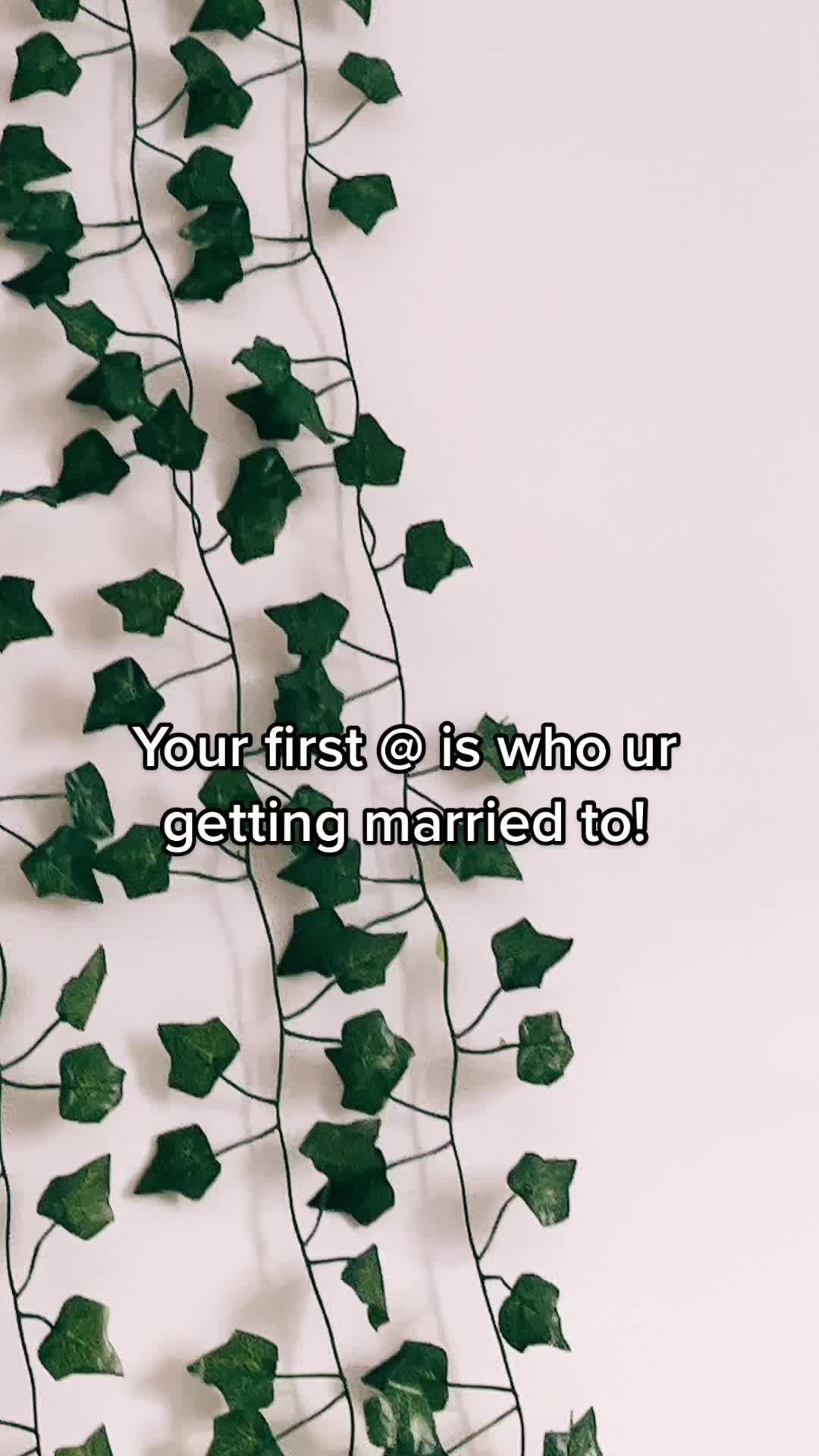 @sksvibezzz