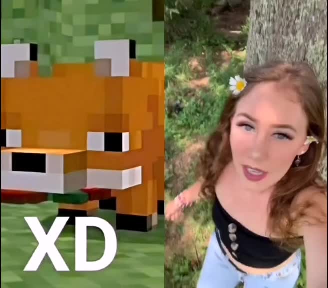 @Zorrito xd 🦊