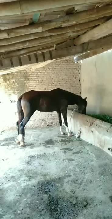 @vishvajit_sinh_9