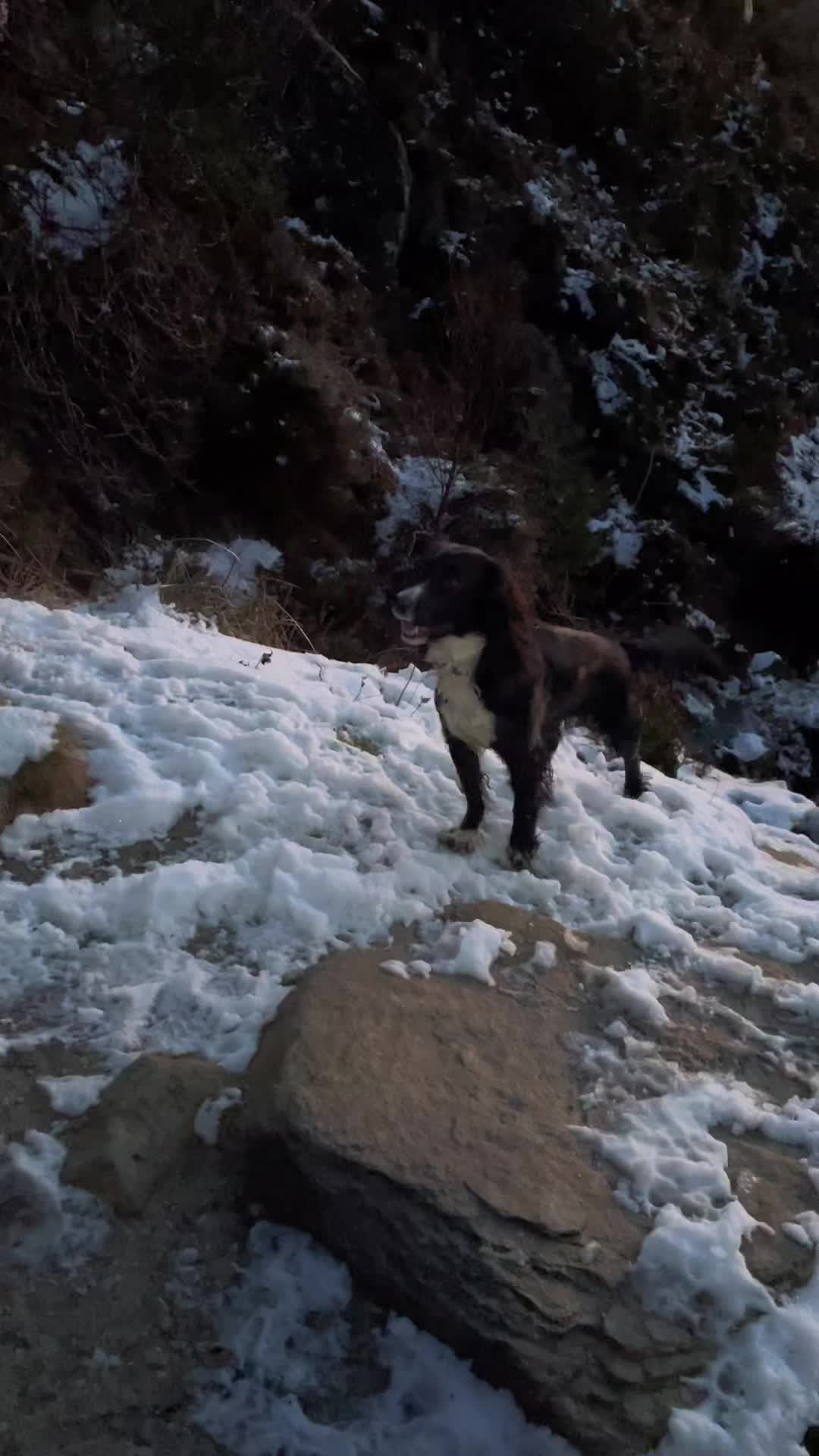@JenniesScottishAdventures