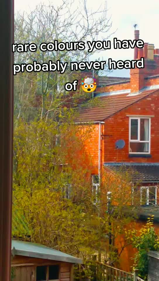 @._.