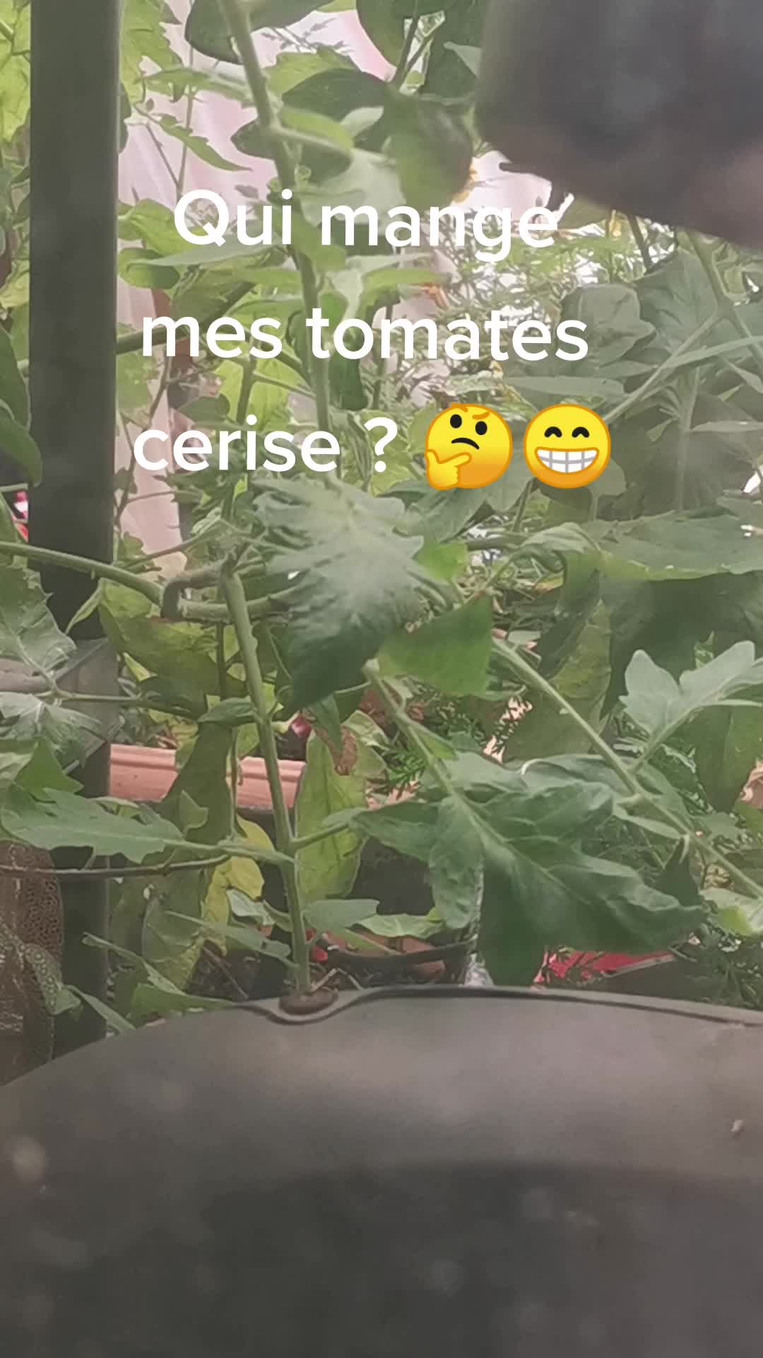 @Sandra Sarazin